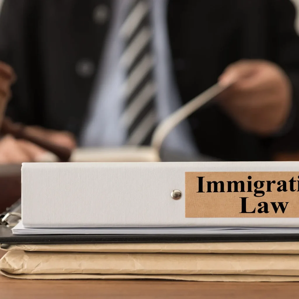 Free Immigration Legal Assistance